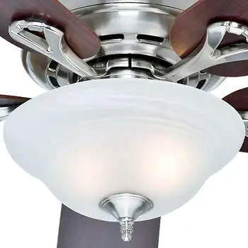 Fırçalanmış Nikel tavan vantilatörü ile ışık kiti ve çekme zinciri Süt buhar köpürtücü Espresso kahve makinesi kahve makinesi soğuk demlemek kahve