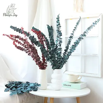 10 Adet Doğal Kurutulmuş Okaliptüs Yaprakları Çiçek Süslemeleri DIY Ev Düğün Çekim Parti Dekor Malzemeleri Gerçek Bitki Dalları