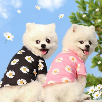 1 ADET Pet Bahar Yaz ve Moda Papatya T-shirt Yumuşak İpeksi Seyahat İki ayaklı Giysiler Oyuncak Bichons Frises Yavru Evcil Hayvan Giyim
