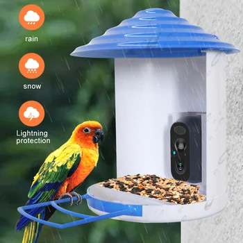 1080P Güneş Wifi Kuş Gözlem Kameraları Açık Su Geçirmez Kablosuz Kuş Besleyici 2MP Aı Algılama gözetim kameraları 2 Yönlü Ses